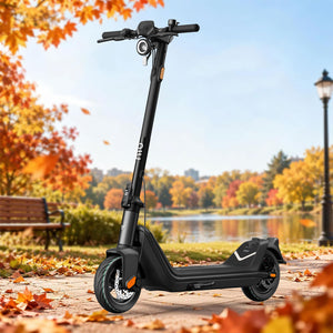 NIU KQi3 Pro Elektrotretroller mit Straßenzulassung | Reichweite 50km