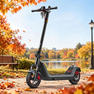 NIU KQi 300X  Elektrotretroller mit All-Terrain-Federung und Straßenzulassung | Reichweite 60km