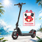NIU KQi 300X  Elektrotretroller mit All-Terrain-Federung und Straßenzulassung | Reichweite 60km